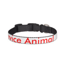 Animal familier