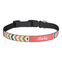 Flèche colorée Chevron Monogramme