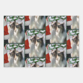 Collies en Kerstman Kerstmis Inpakpapier Vel (Voorkant 2)