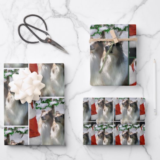 Collies en Kerstman Kerstmis Inpakpapier Vel (Voorkant)
