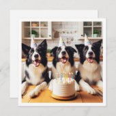 Collies frontalières, Carte d'anniversaire de chie (Devant / Derrière)