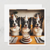 Collies frontalières, Carte d'anniversaire de chie (Devant / Derrière)
