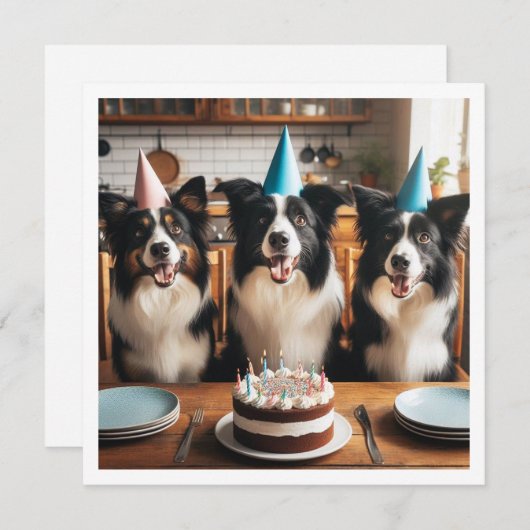 Collies frontalières, Carte d'anniversaire de chie (Devant / Derrière)