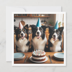Collies frontalières, Carte d'anniversaire de chie