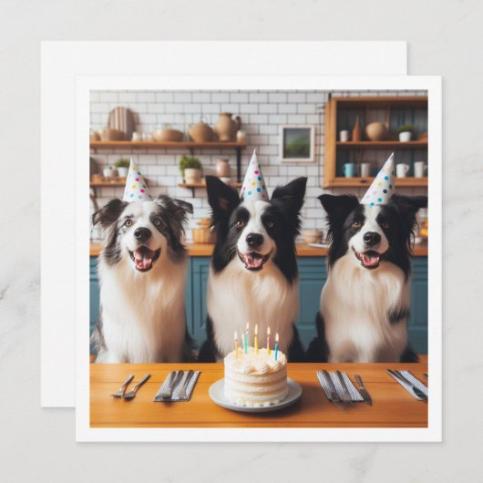Collies frontalières, Carte d'anniversaire de chie (Devant / Derrière)