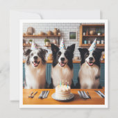 Collies frontalières, Carte d'anniversaire de chie (Devant)