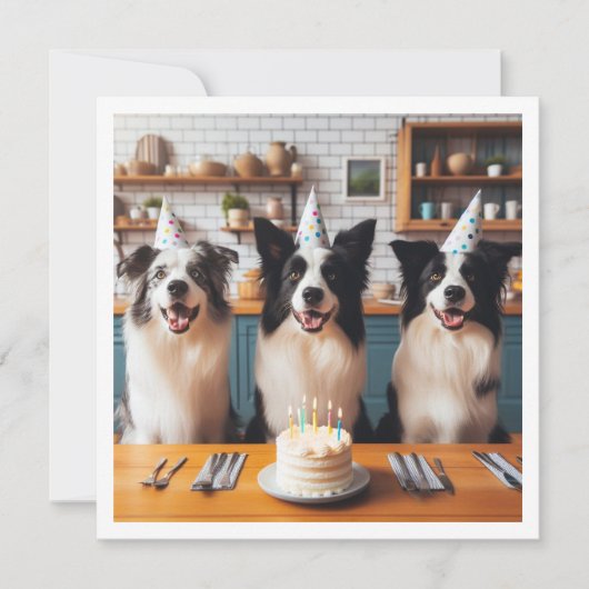 Collies frontalières, Carte d'anniversaire de chie (Devant)