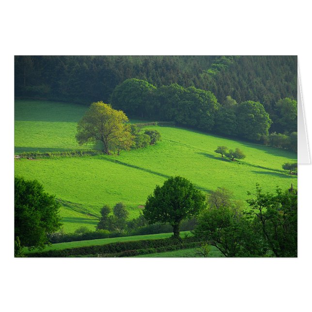 Collines vertes (Devant horizontal)