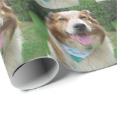 colliummix aan de grens cadeaupapier (Rol Hoek)