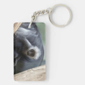 Colobus polykomos sleutelhanger (achterkant)
