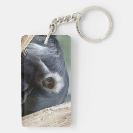 Colobus polykomos sleutelhanger (achterkant)