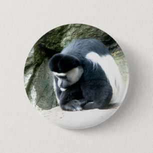 Colobus Ronde Button 5,7 Cm