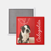 Cologalita Usamimi Magnets Magneet (Voorkant / Achterkant)