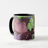 Colombe et maman de deuil Mug de bébé (Devant gauche)
