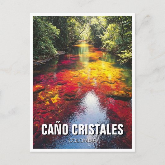 Colombia Cano Cristales Reizen Briefkaart (Voorkant)