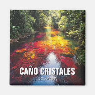 Colombia Cano Cristales Reizen Magneet