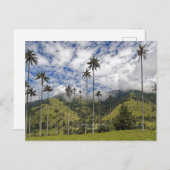 Colombia - El Bosque de Palmas Briefkaart (Voorkant / Achterkant)