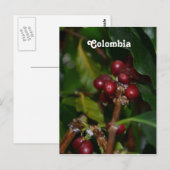 Colombiaanse koffiebonen briefkaart (Voorkant / Achterkant)