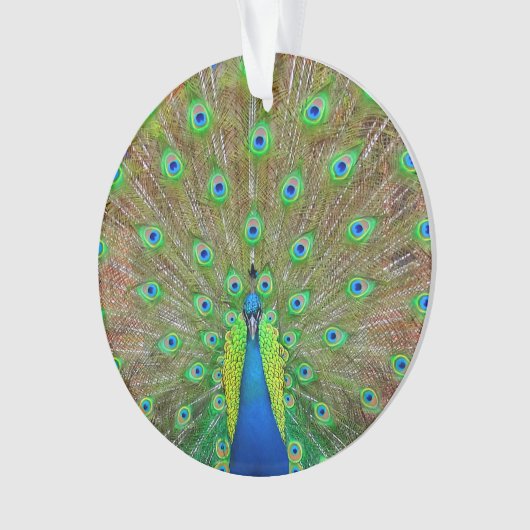 Colon bleu #3 Ornement (devant)