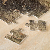 Colonial Williamsburg 1000+ Piece Puzzle (Côté)