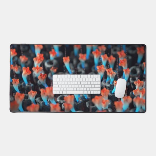 Colonie (Clavier et souris)