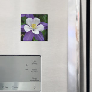 Colonne - Aimant violet blanc