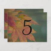 Colonnes d'automne Mariage Numéro de table (Devant / Derrière)