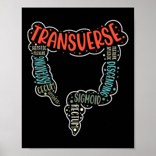 Colonoscopie GI Grappige Endoscopie Verpleegkundig Poster
