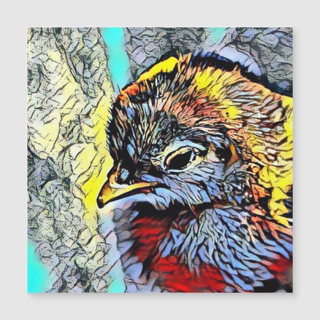 Color Kick - Chick (Voorkant)