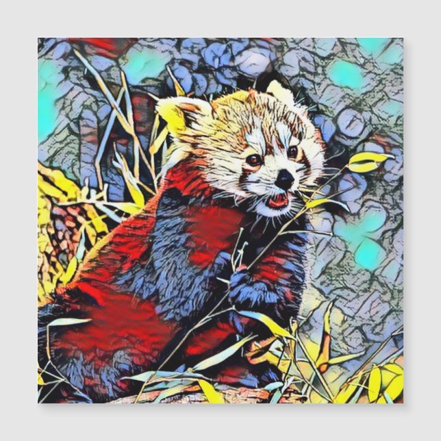 Color Kick - Red Panda (Voorkant)
