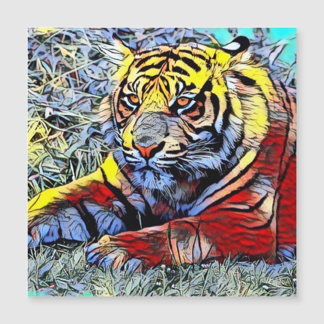 Color Kick - Tiger 2 (Voorkant)