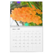 Color magic orchids kalender (Mar 2027)