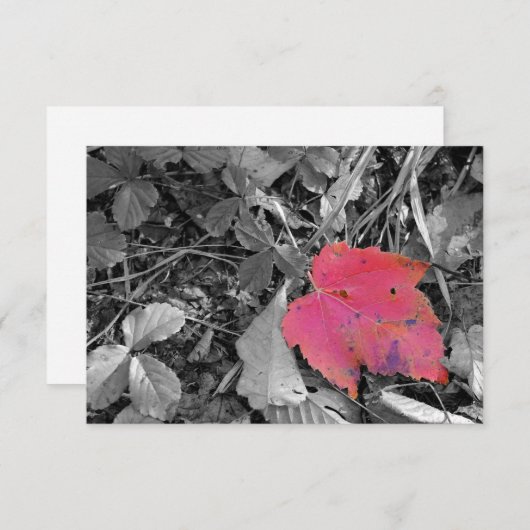 Color Pop Red Leaf Bedankkaart (Voorkant / Achterkant)