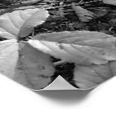 Color Pop Red Leaf Poster (Hoek)