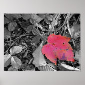 Color Pop Red Leaf Poster (Voorkant)