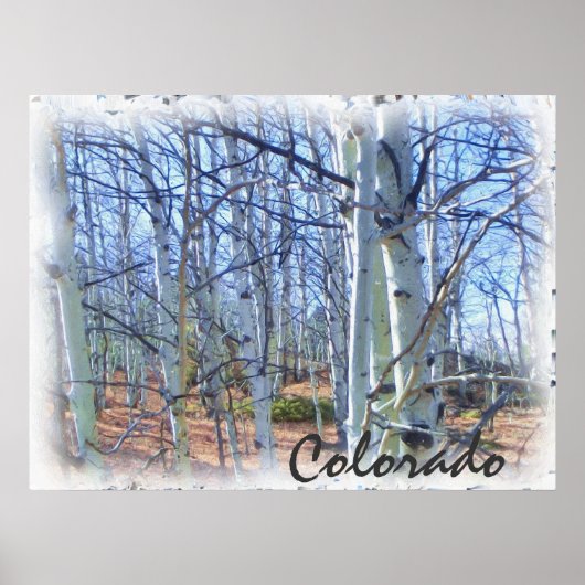 Colorado aspen schilderachtig poster (Voorkant)