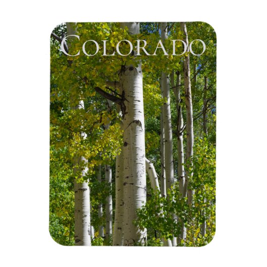 Colorado Aspens Designer Fridge Magnet Magneet (Verticaal)