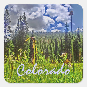 Colorado autocollant à ressort