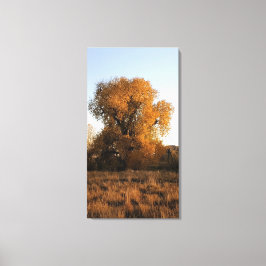 Colorado Beauty Canvas Afdruk