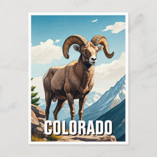 Colorado Bighorn schapen reizen souvenir Briefkaart