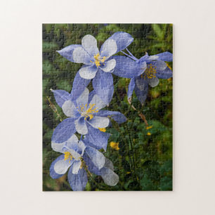 Colorado Blauwe Akelei bij Telluride Colorado Legpuzzel