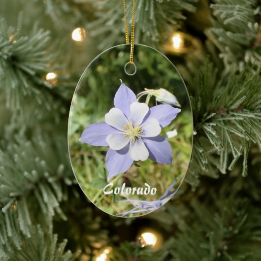 Colorado Blue Columbine Ornament (Boom)