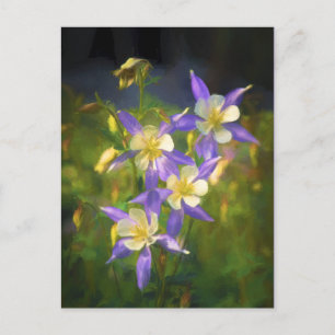 Colorado Blue Columbine Painting - Originele Kunst Briefkaart