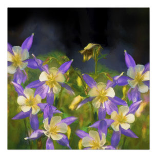 Colorado Blue Columbine Painting - Originele Kunst Perfect Poster