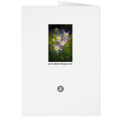 Colorado Blue Columbine Peinture - Art original (Dos)