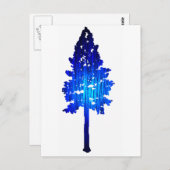 Colorado Blue Spruce Briefkaart (Voorkant / Achterkant)