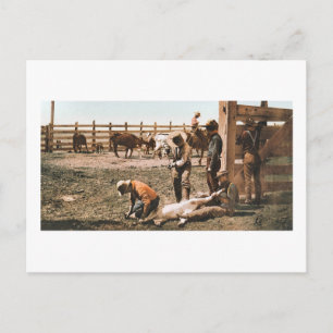 Colorado Branding 1904 Briefkaart