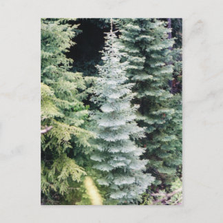 colorado briefkaart