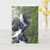 Colorado Cascade Toutes les occasions Carte de voe (Fleur jaune)