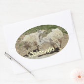 Colorado chèvre autocollant (Enveloppe)